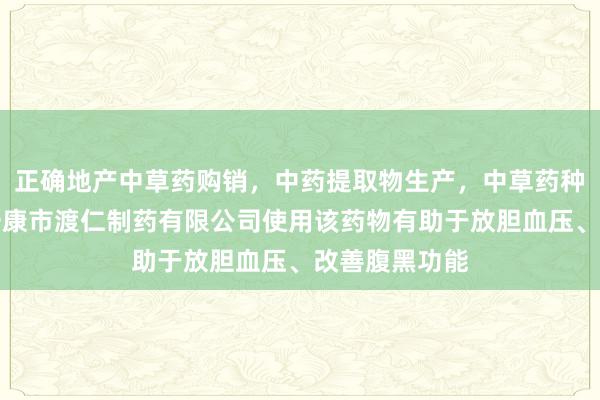 正确地产中草药购销,中药提取物生产,中草药种植,陕西省安康市渡仁制药有限公司使用该药物有助于放胆血压、改善腹黑功能