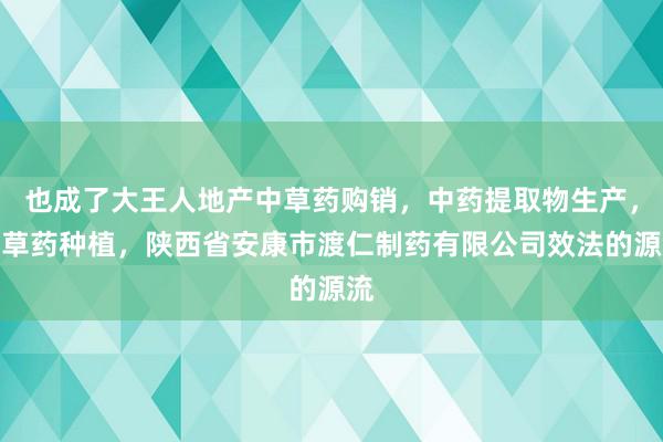 也成了大王人地产中草药购销,中药提取物生产,中草药种植,陕西省安康市渡仁制药有限公司效法的源流