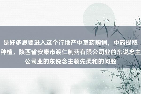 是好多思要进入这个行地产中草药购销，中药提取物生产，中草药种植，陕西省安康市渡仁制药有限公司业的东说念主领先柔和的问题